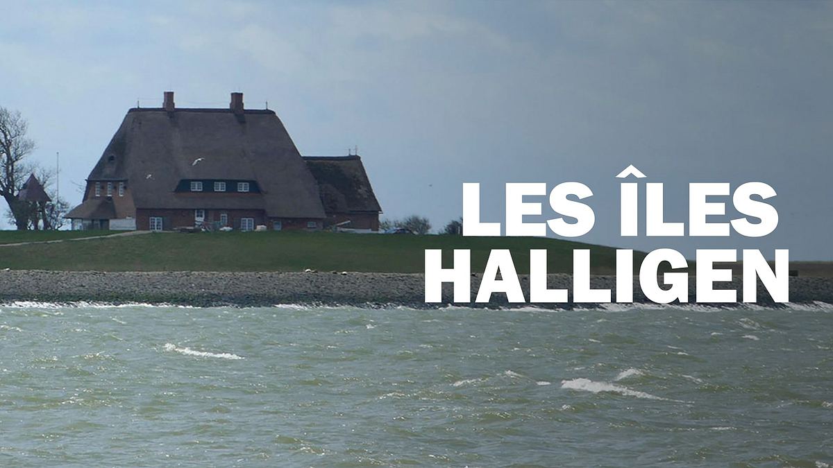 die halligen im wattenmeer