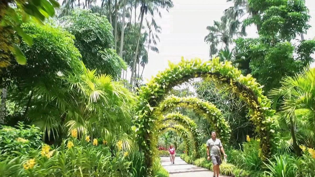 destination singapur - außergewöhnliche gärten