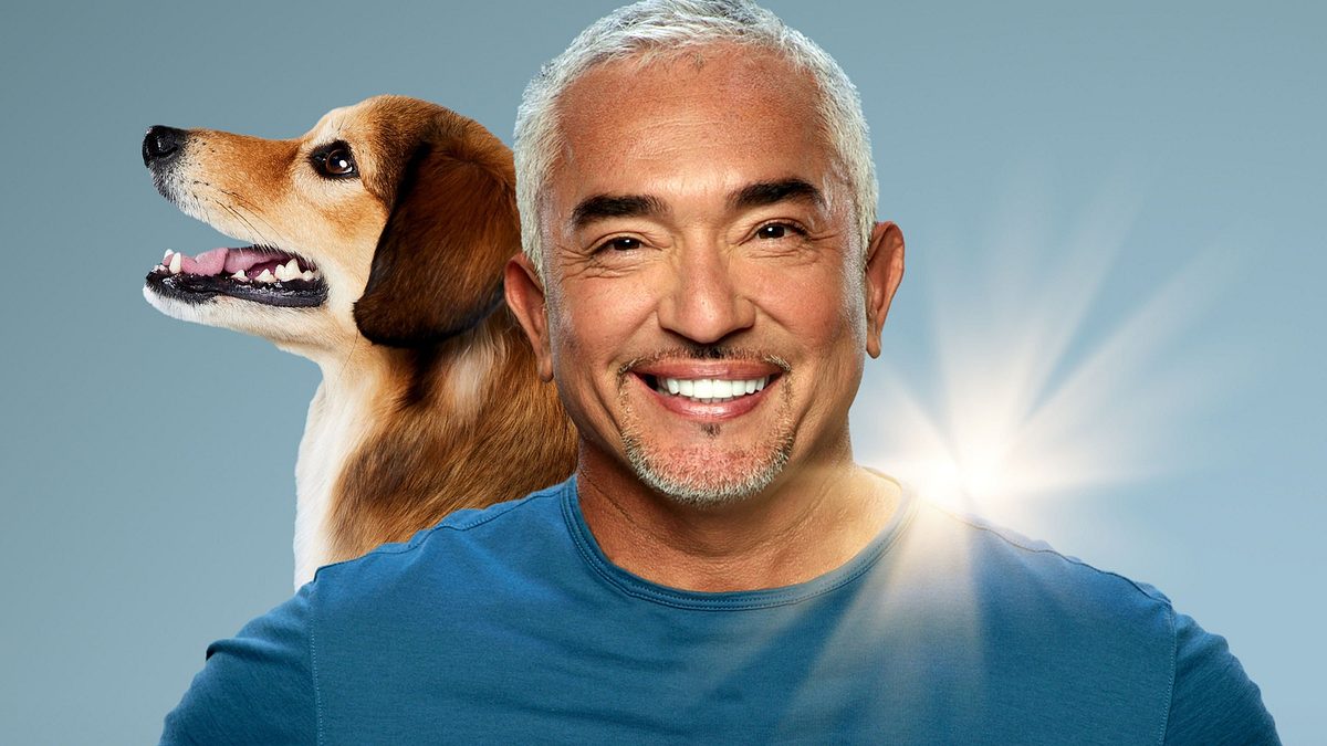 Cesar Millan: Guter Mensch guter Hund Cesar Millan: Guter Mensch guter Hund