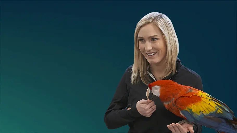 Secrets of the Zoo: Keeper Tales Secrets of the Zoo: Keeper Tales