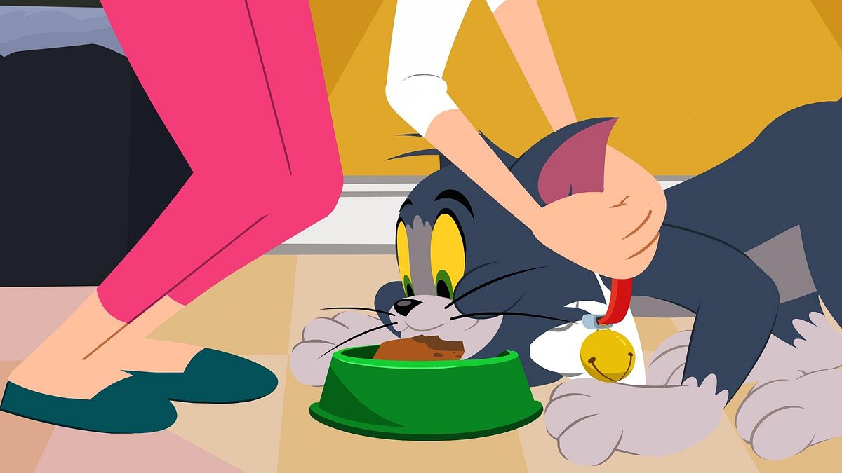 die tom und jerry show