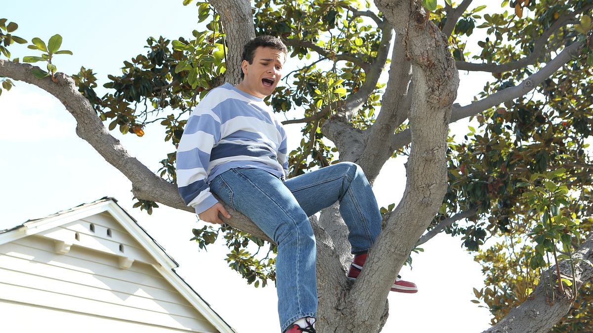 the goldbergs