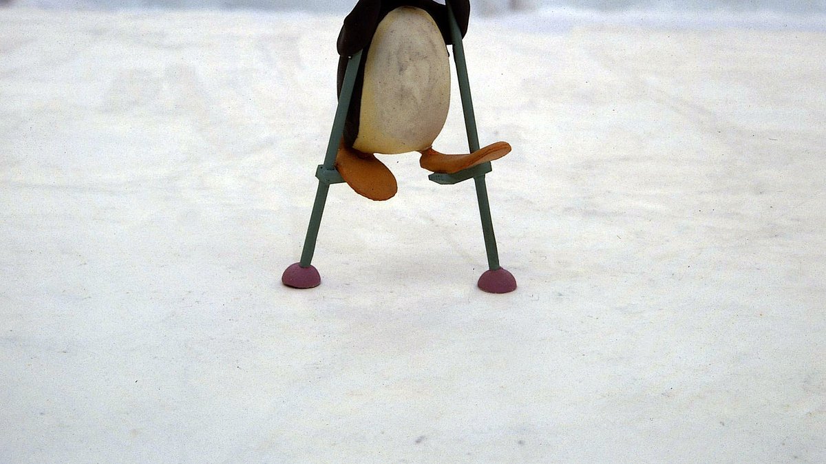 pingu - das abenteuerliche leben eines kleinen pinguins