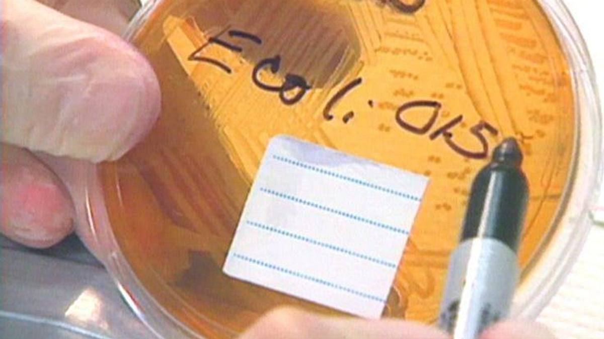 medical detectives - geheimnisse der gerichtsmedizin