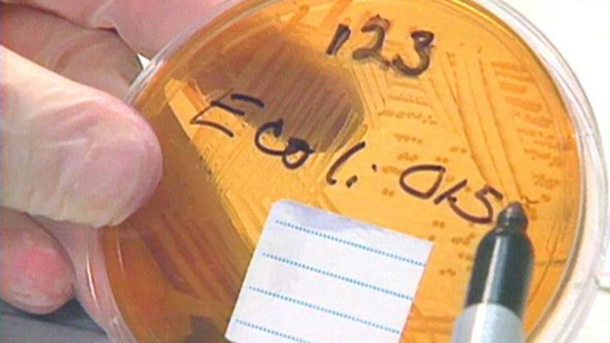 medical detectives - geheimnisse der gerichtsmedizin