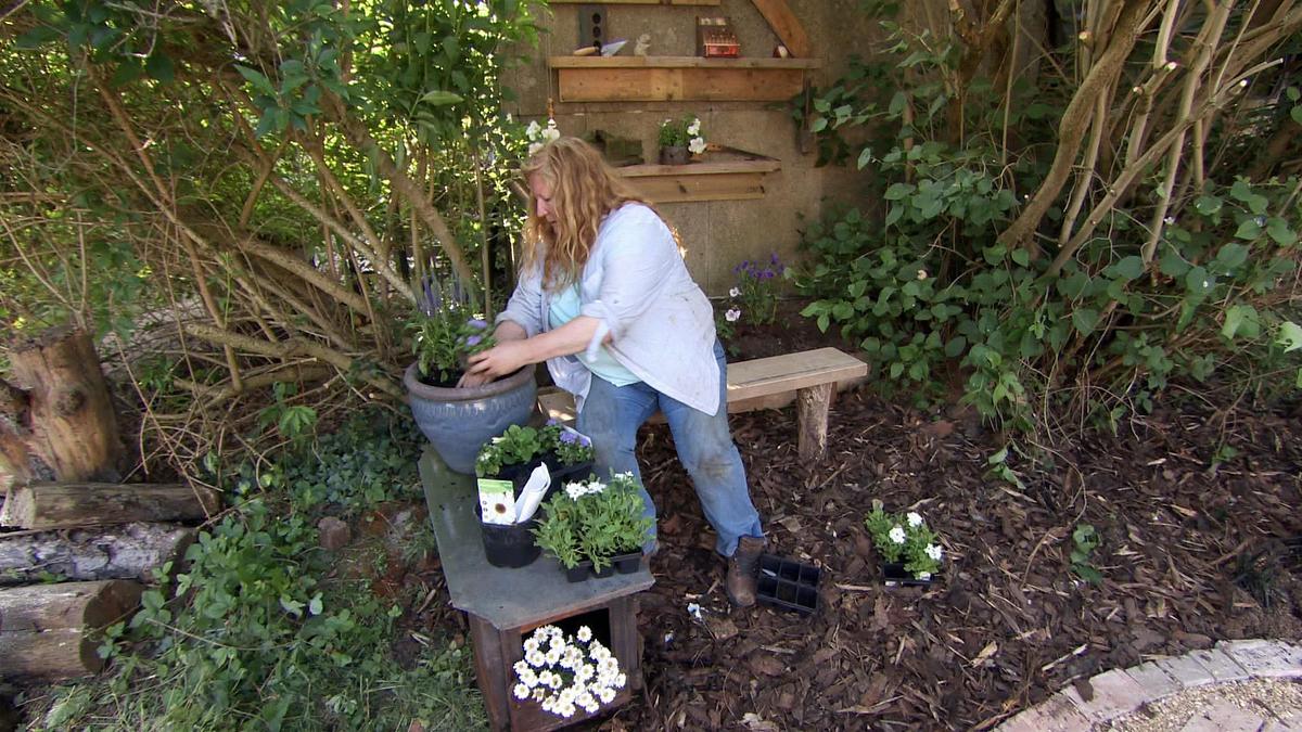 garden rescue: wer rettet meinen garten?