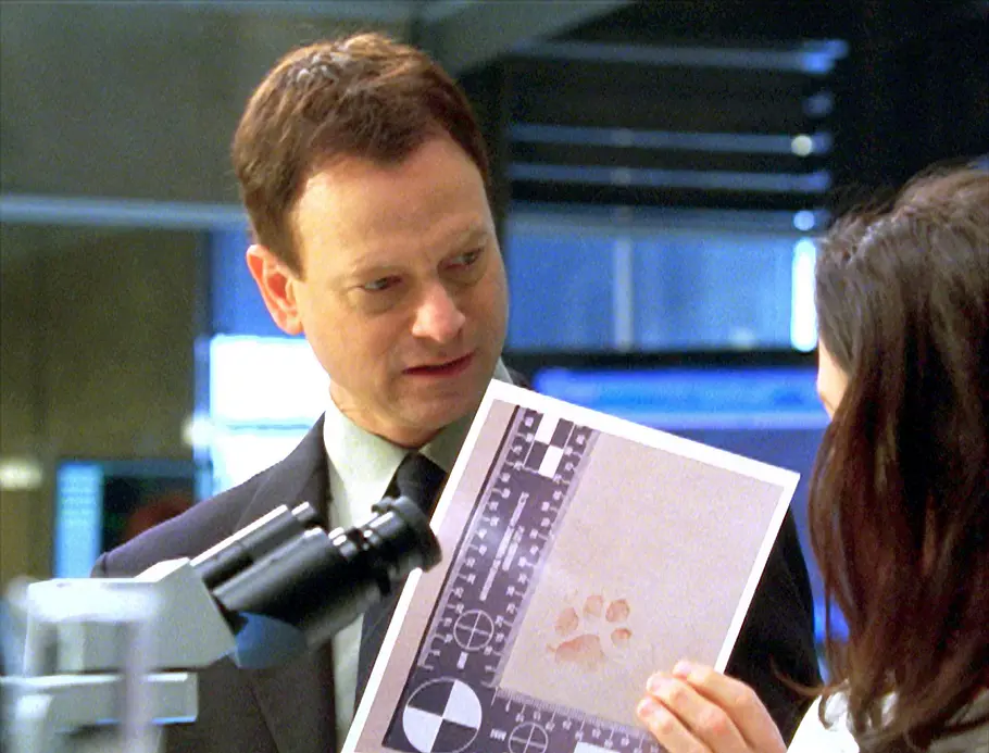 CSI: NY csi: ny