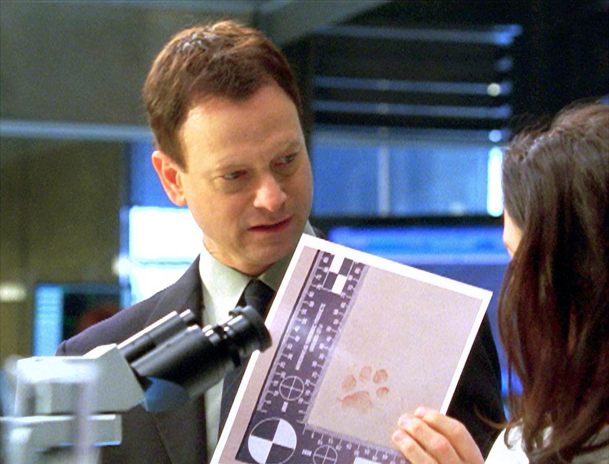 csi: ny