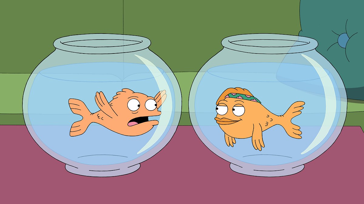 american dad!