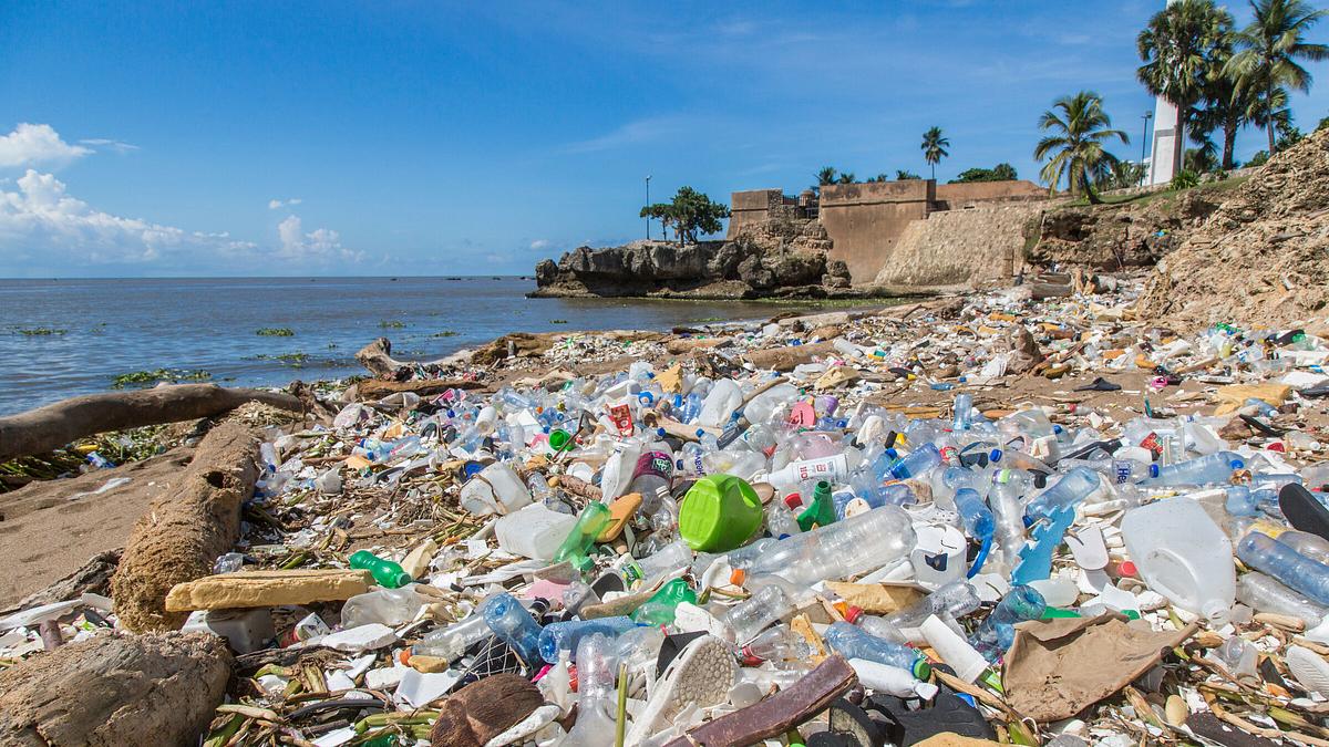 plastikmüll - die globale umweltkatastrophe