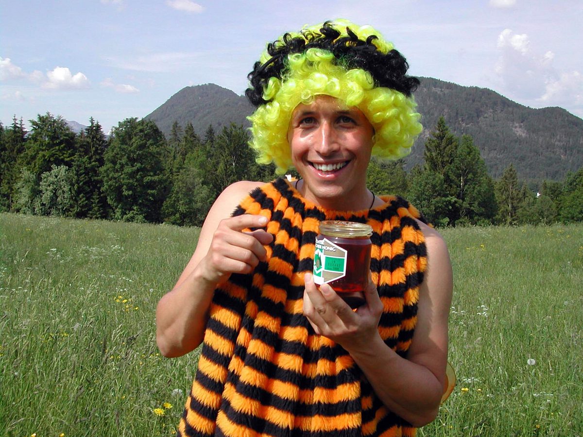 Willi wills wissen willi wills wissen