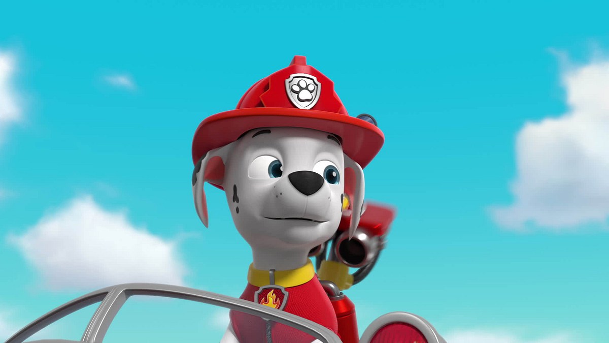 Paw Patrol - Helfer auf vier Pfoten paw patrol - helfer auf vier pfoten