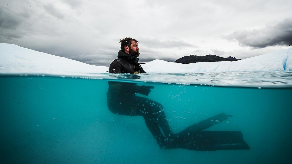 auf der spur der alaska-haie