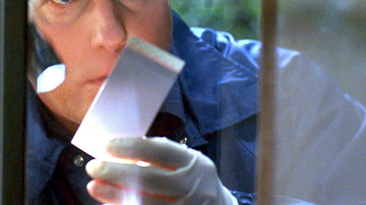 csi: den tätern auf der spur