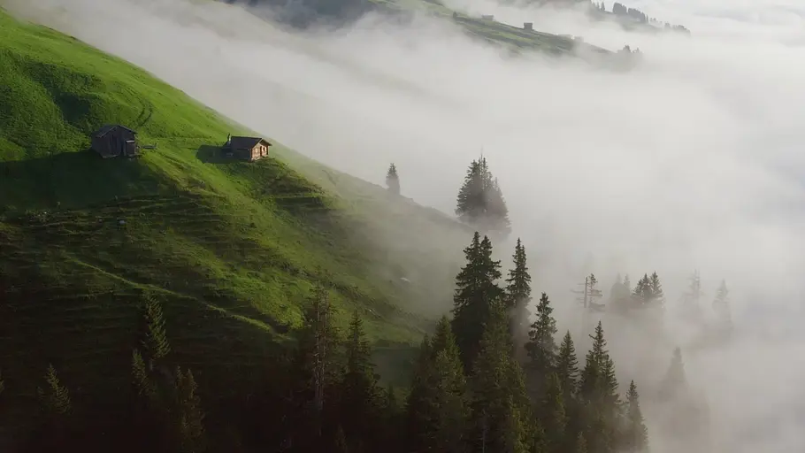 3satThementag: Film ab - Schweiz 3satthementag: film ab - schweiz