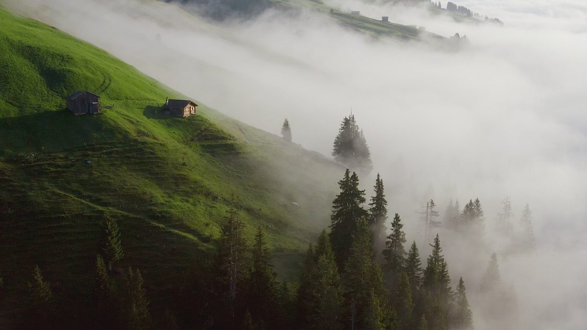 wilde schweiz