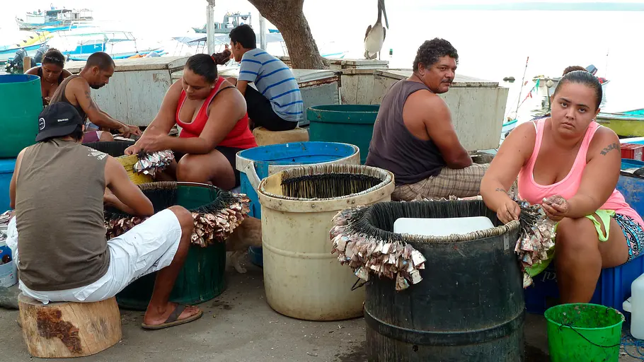 costa rica - mittelamerikas grüne schatzkammer