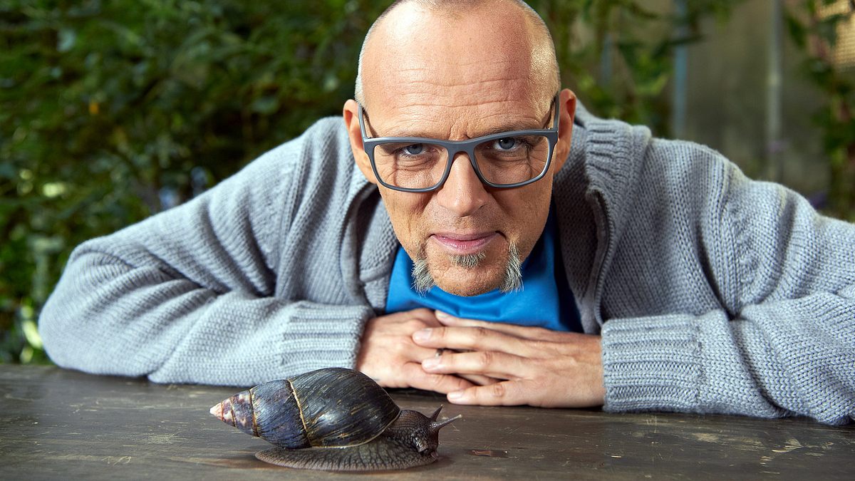 wissen vor acht - natur