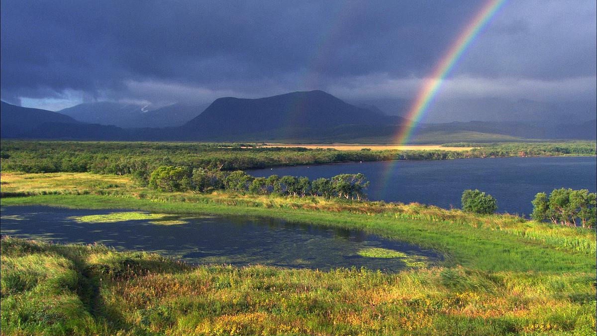 wildes russland