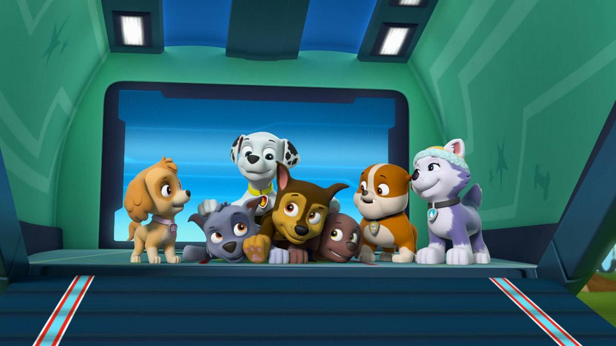 paw patrol - helfer auf vier pfoten