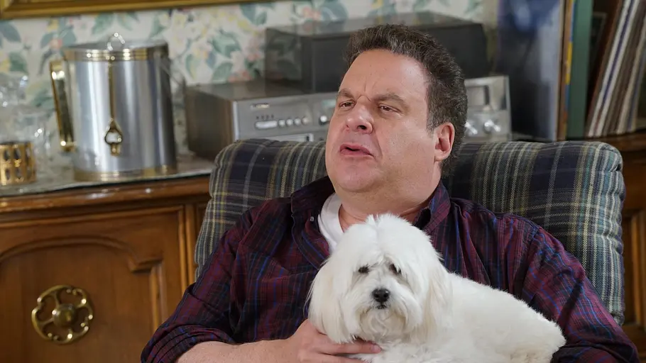 The Goldbergs the goldbergs