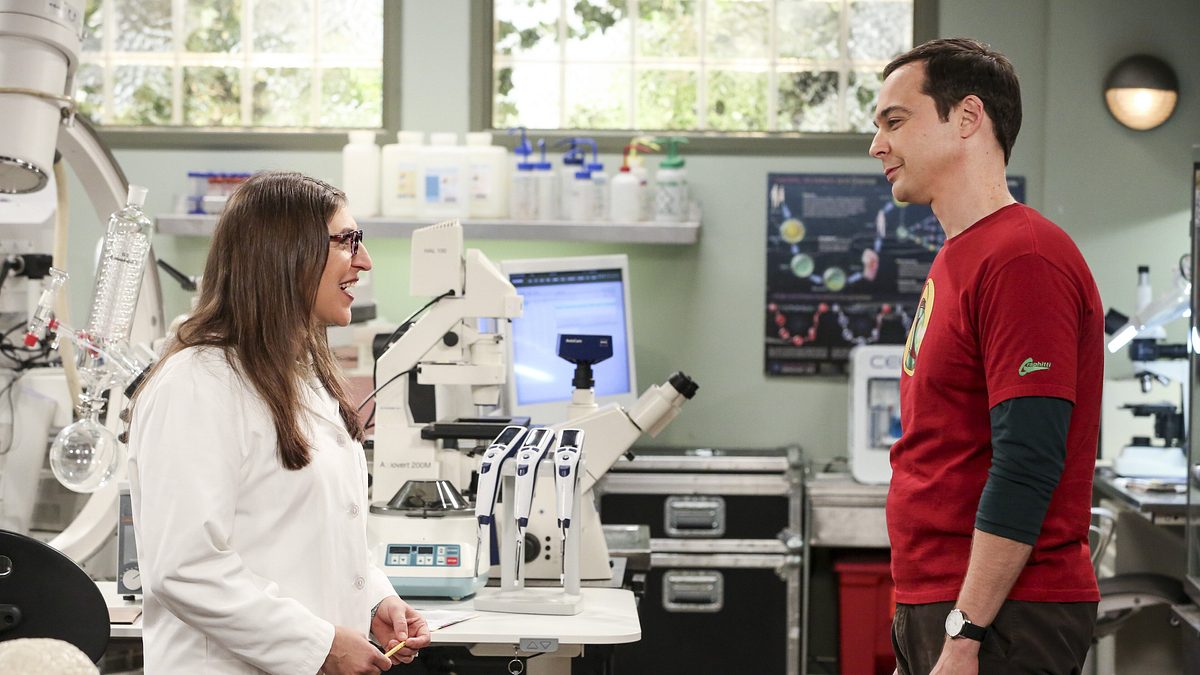 the big bang theory