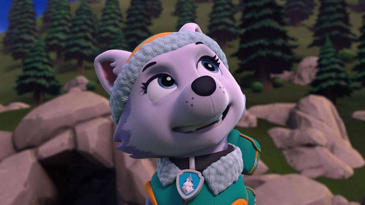 paw patrol - helfer auf vier pfoten