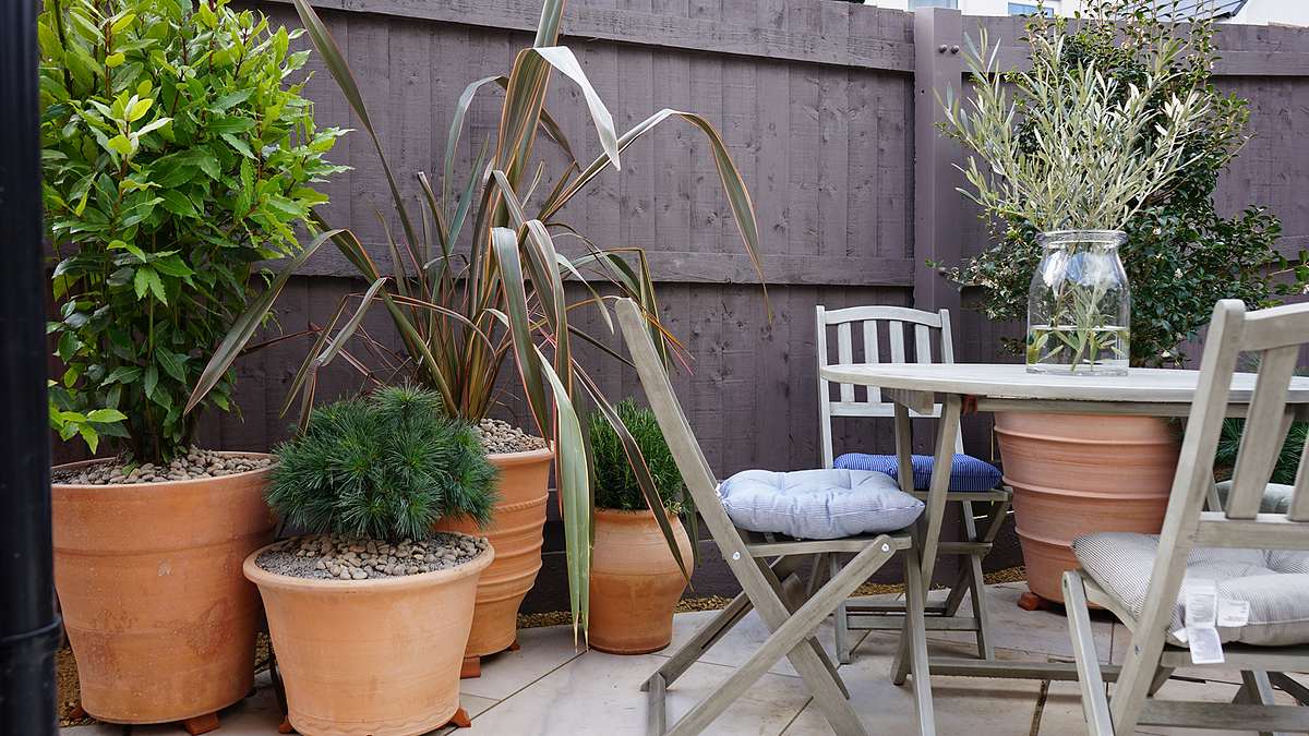 Alan Titchmarsh: Liebe deinen Garten! alan titchmarsh: liebe deinen garten!