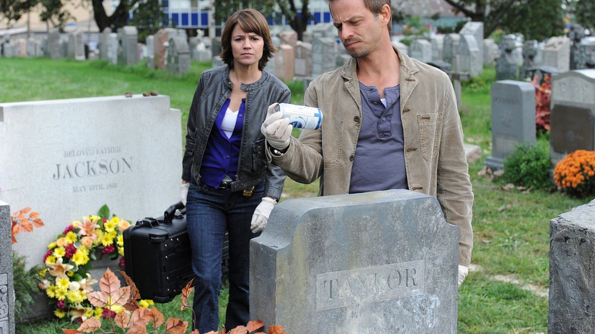 csi: ny