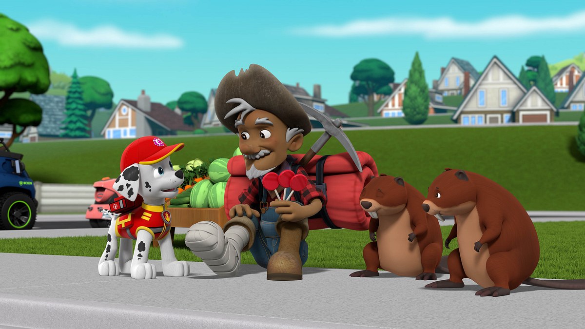 paw patrol - helfer auf vier pfoten