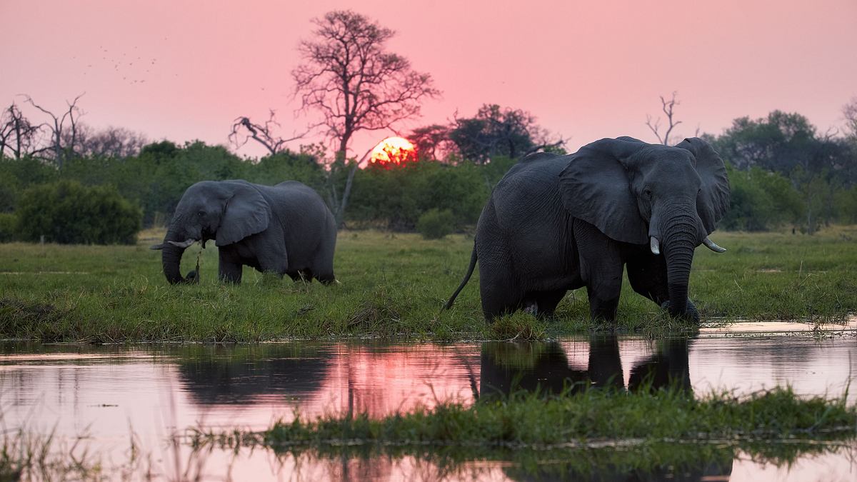 die wilden flüsse afrikas