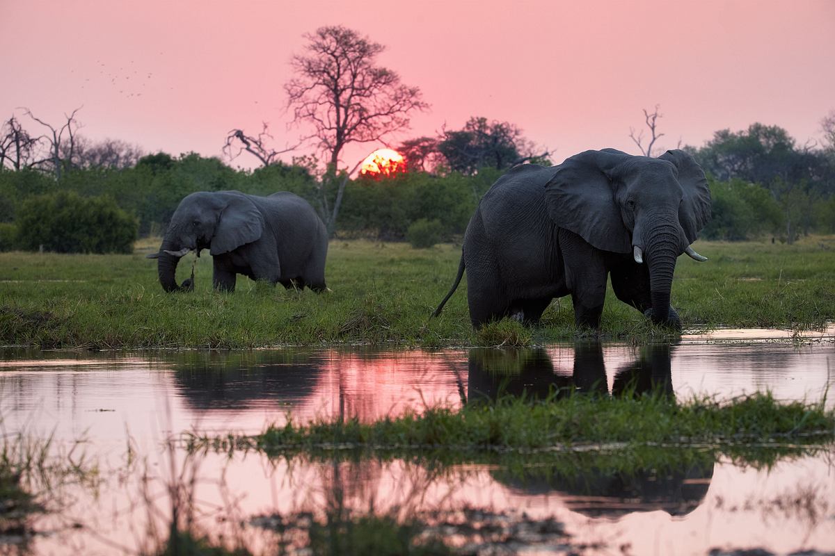 die wilden flüsse afrikas