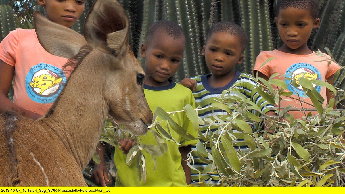 das waisenhaus für wilde tiere - abenteuer afrika