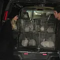 How I Met Your Mother Thumbnail