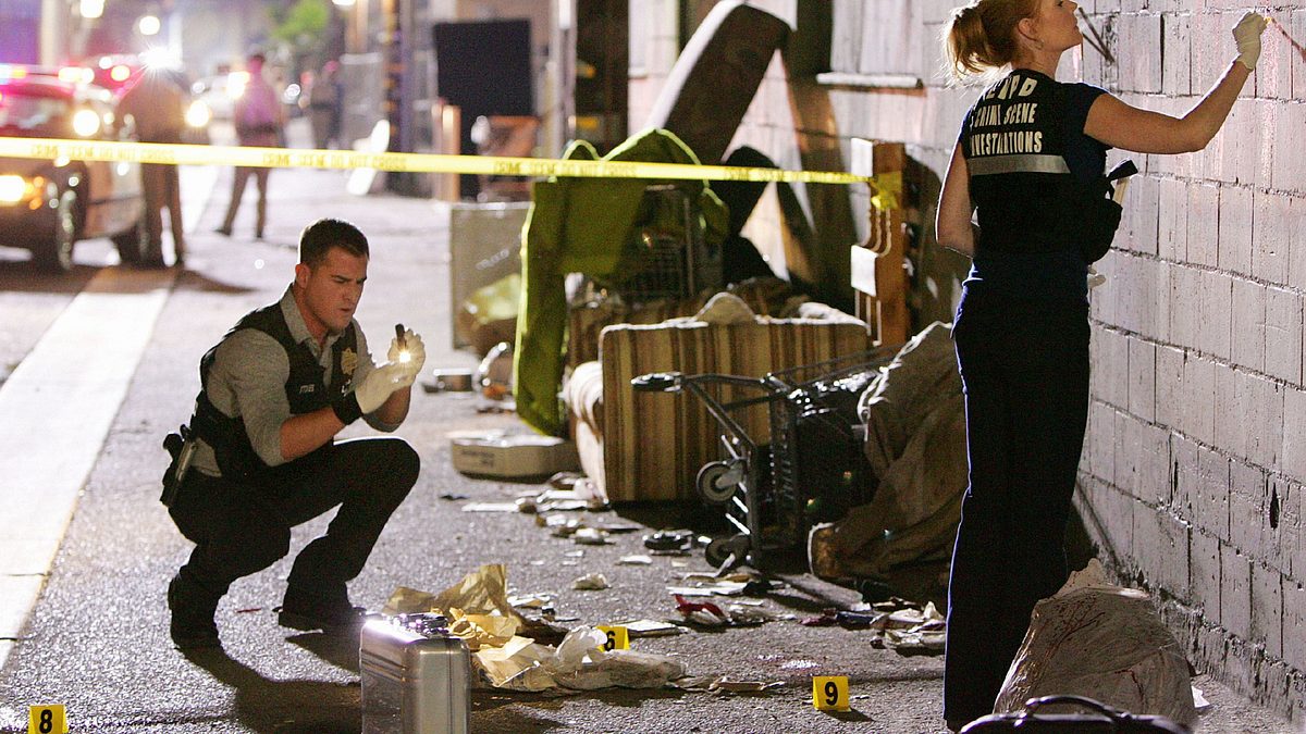 csi: den tätern auf der spur