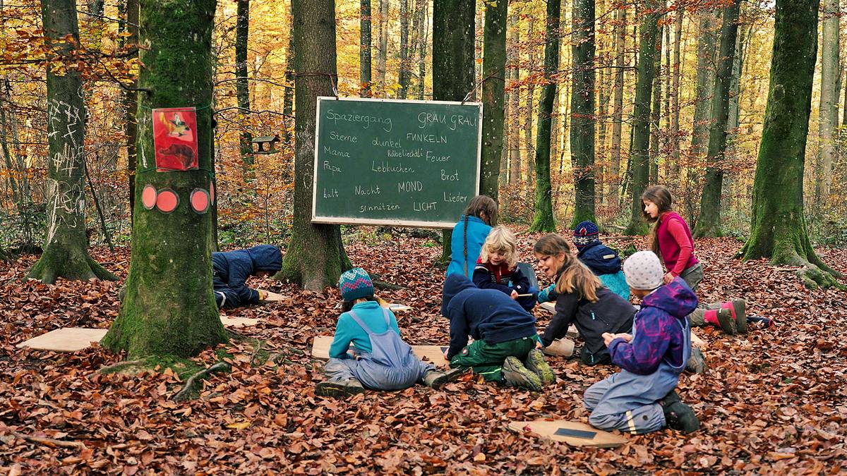 der wald ist mein schulzimmer - wie kinder im freien lernen