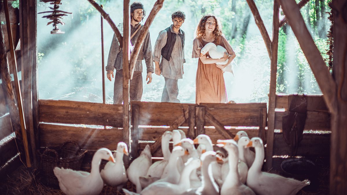 die gänseprinzessin