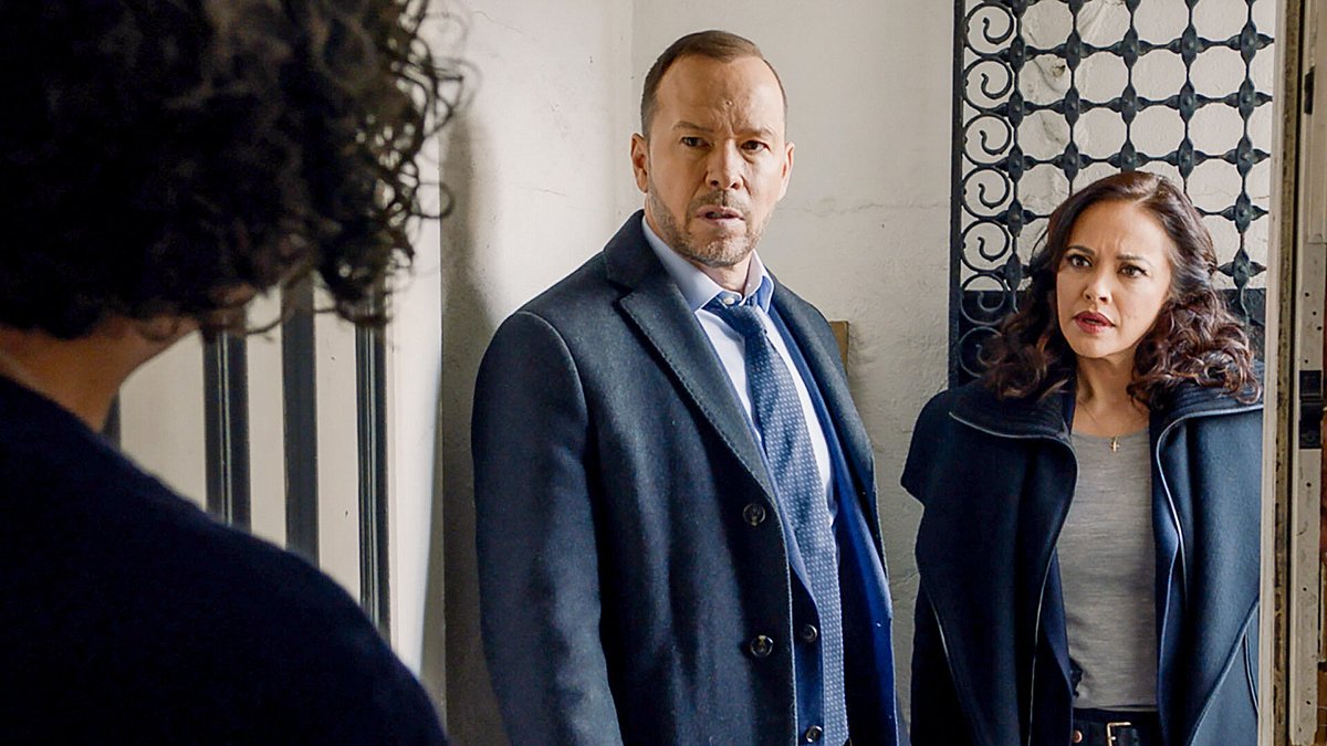 blue bloods - crime scene new york