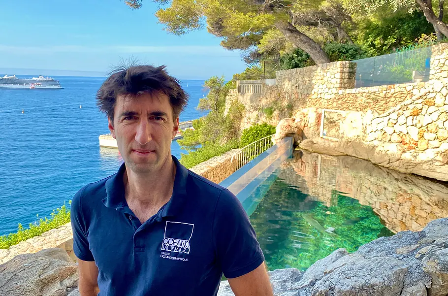 Côte d'Azur - Lebenslust an der französischen Riviera côte d'azur - lebenslust an der französischen riviera
