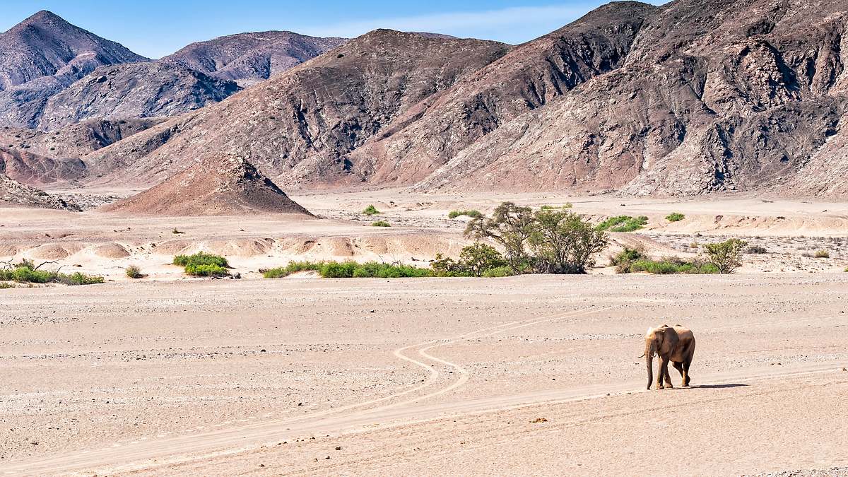 die wilden flüsse afrikas
