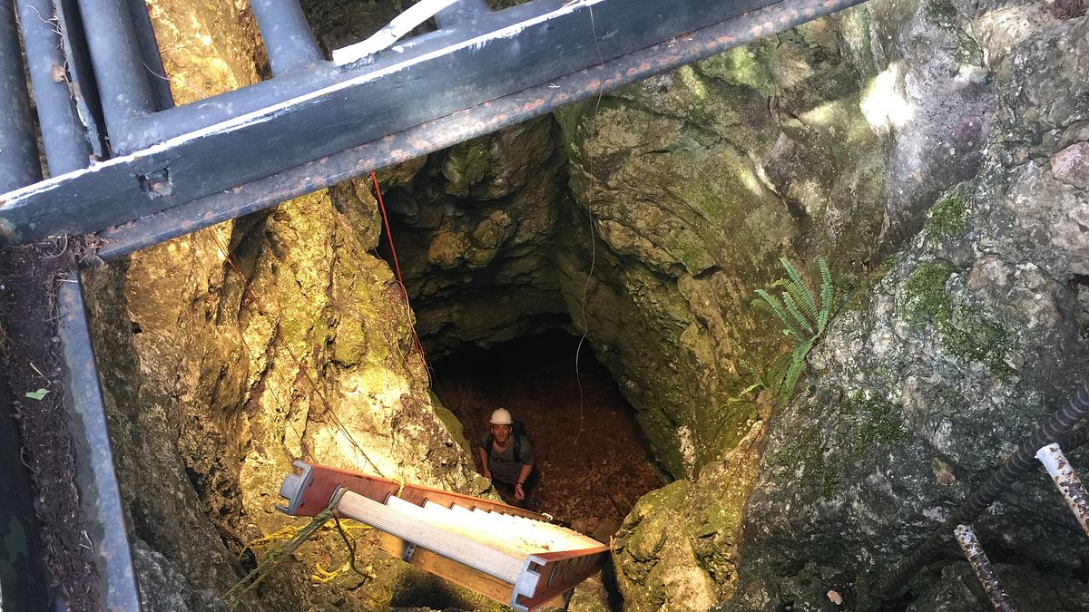 secret underground - verborgene geheimnisse