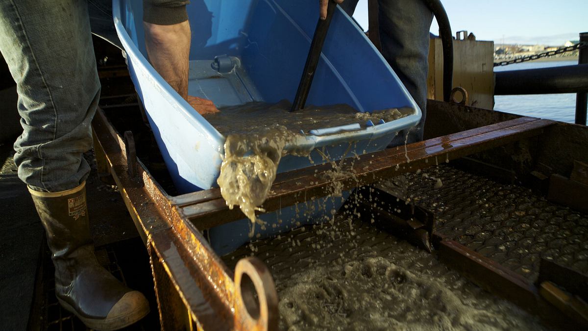 die schatzsucher - goldtaucher der beringsee