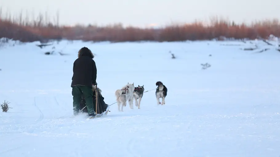 Nordalaska - Überleben am Polarkreis nordalaska - überleben am polarkreis