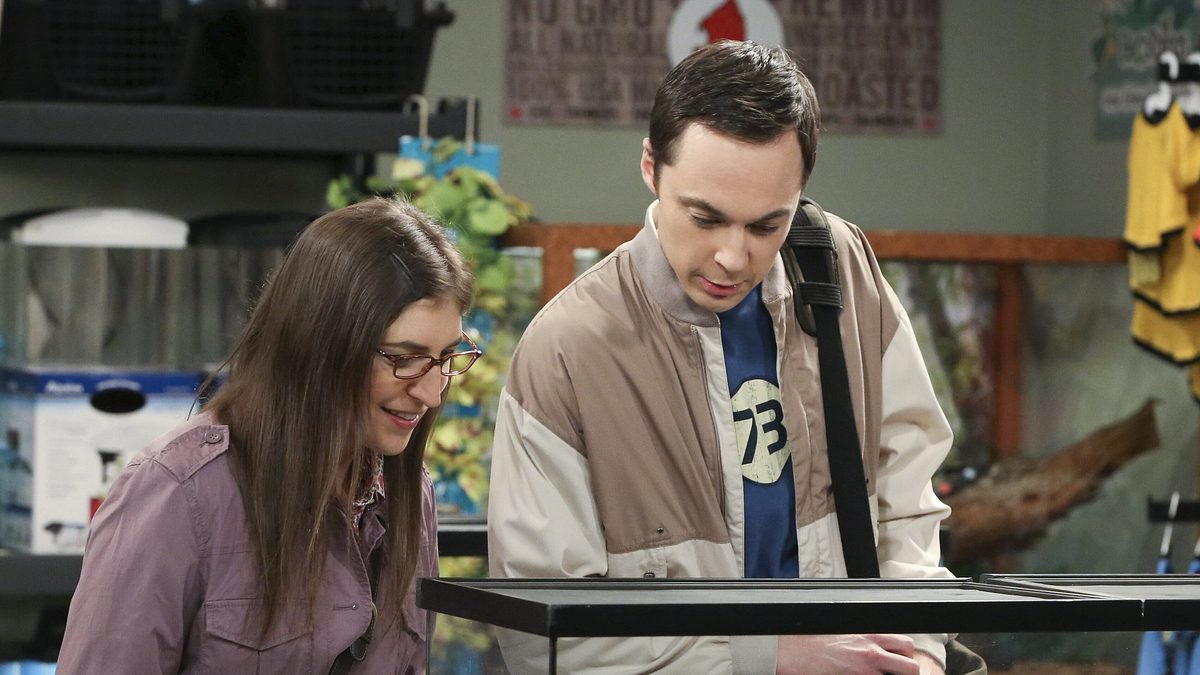 the big bang theory