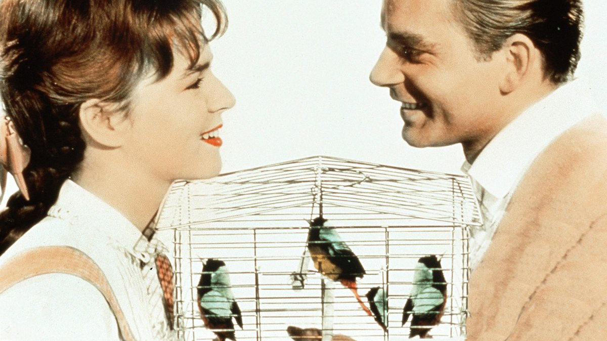 der vogelhändler