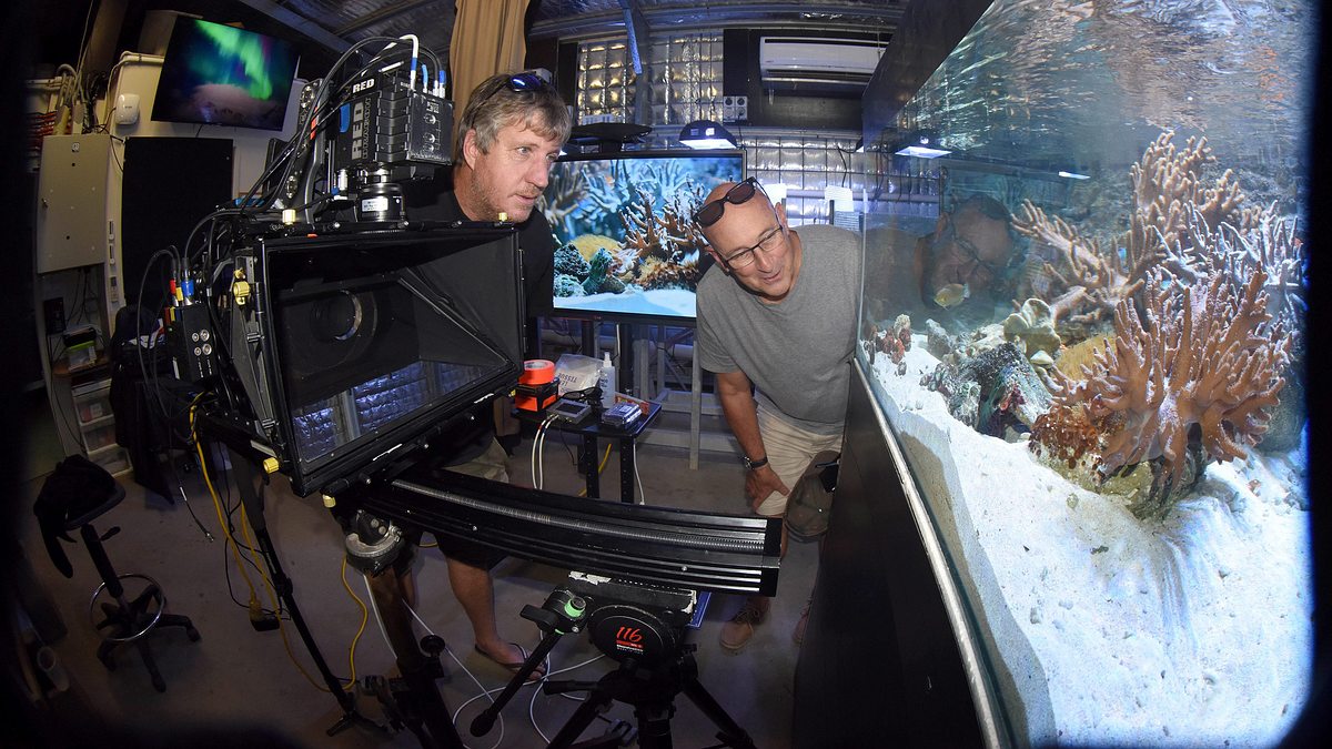 die wächter des great barrier reef