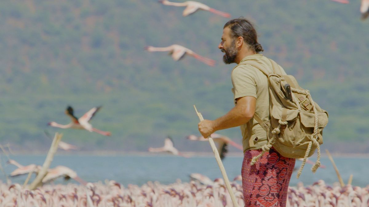 extreme survival mit hazen audel: safari durch das rift valley