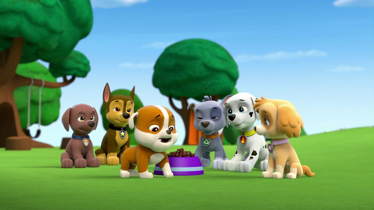 paw patrol - helfer auf vier pfoten