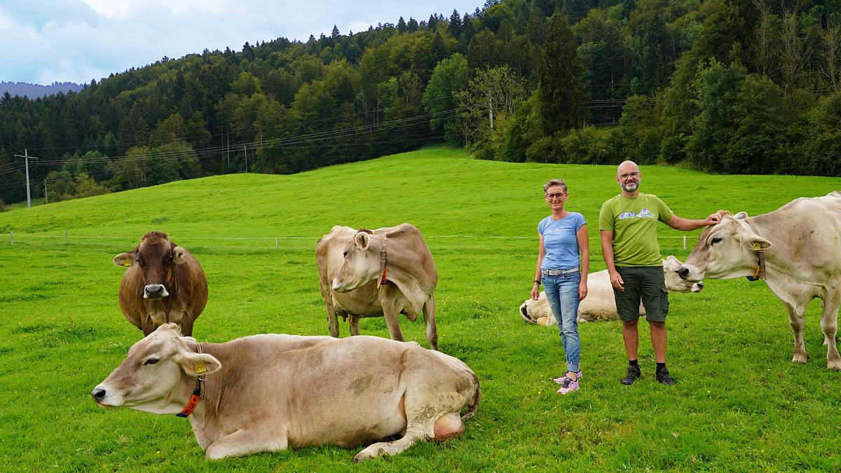 lust aufs land - bayerische hofgeschichten