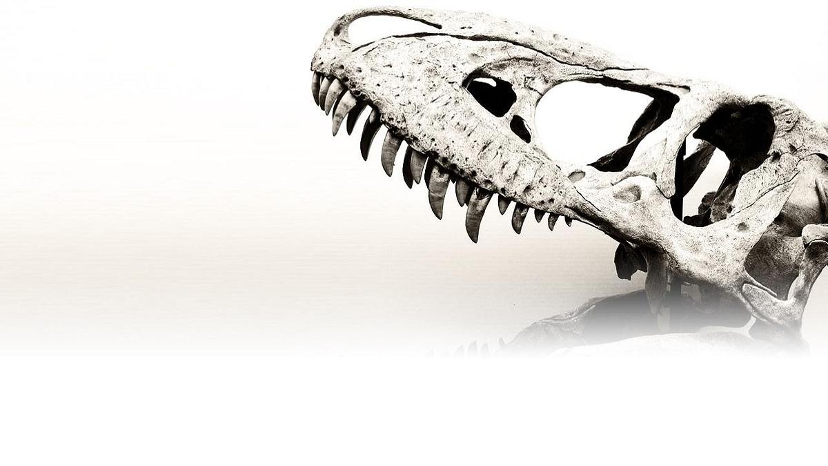 spinosaurus: der urzeit-gigant